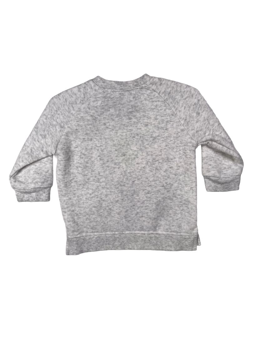 3-6 mo, Star Wars, Grey, Grogru "Cutest in the galaxy" fleece-lined sweatshirt, Baby Yoda