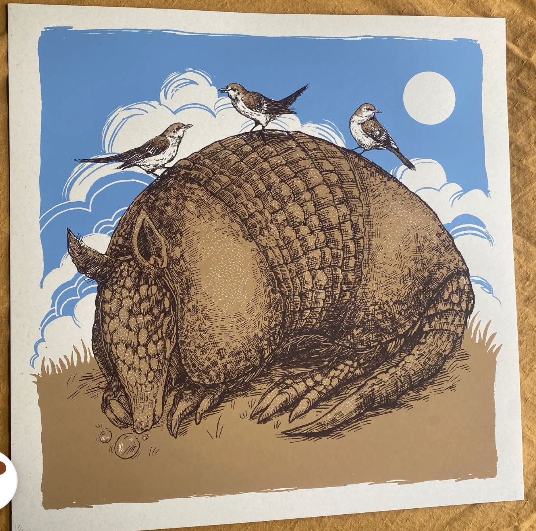 Field Sparrow Studio, Armadillo & Mockingbirds 18" x 18" Screen Print