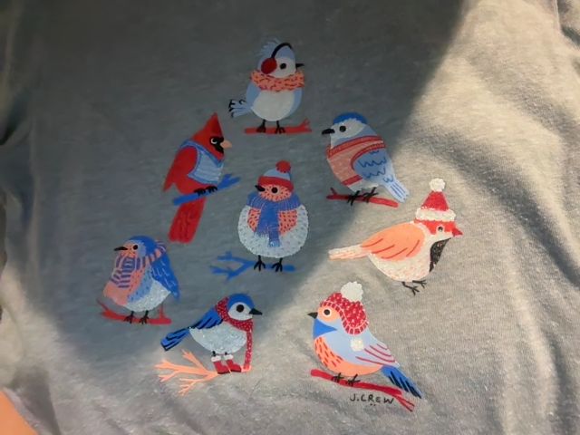 4-5, J.Crew Factory, Grey, Winter hat / sweater glitter birds long-sleeve graphic t-shirt