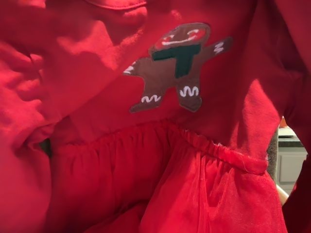 4/4T, Monica + Andy, Red, Long-sleeve appliqué gingerbread cookie tulle skirt dress