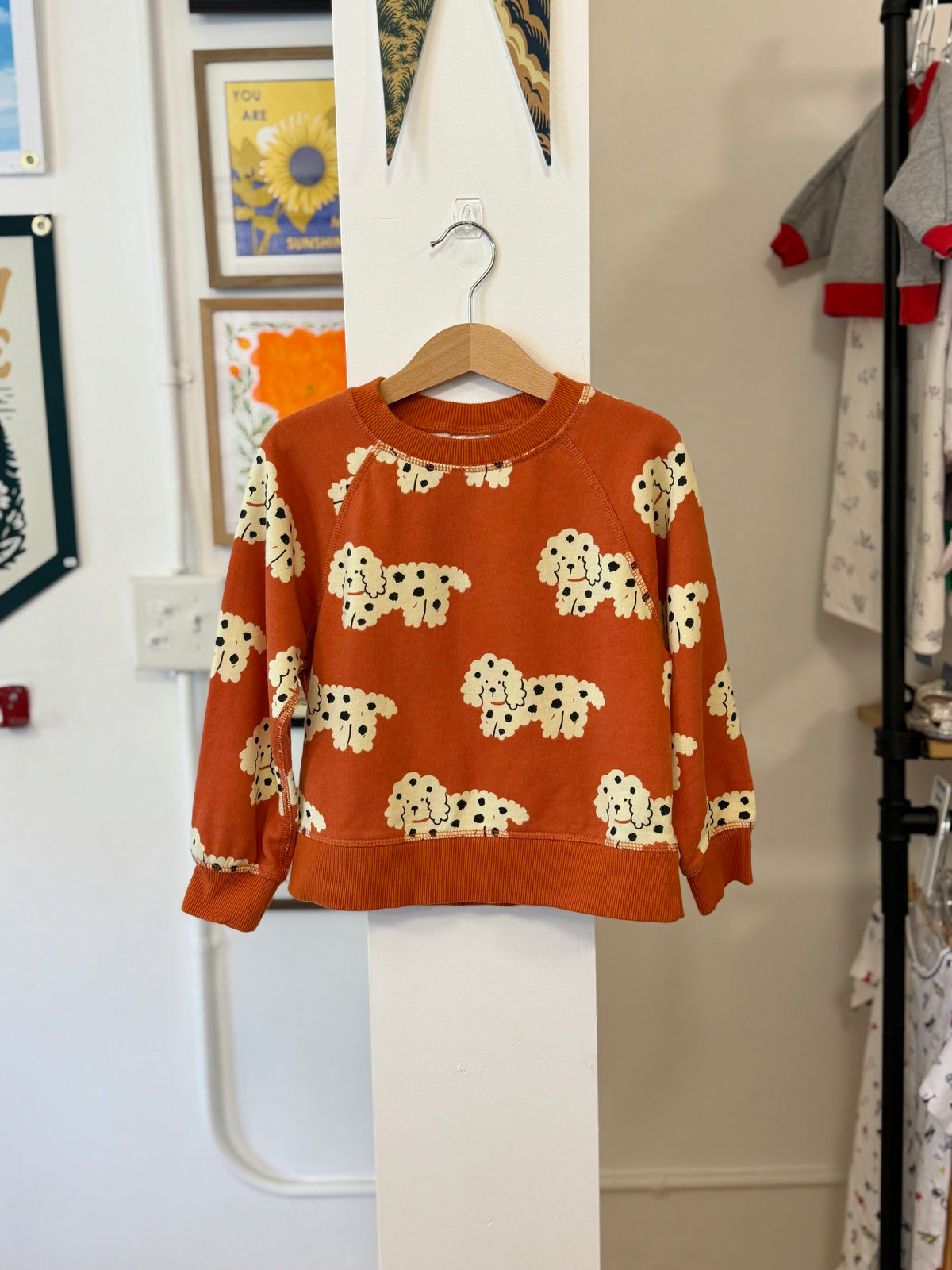 4/4T, Hanna Andersson, Orange, Fluffy spotted dog cotton terry sweatshirt