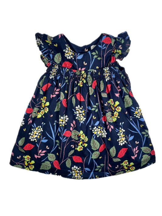 18-24 mo, babyGap, Blue, Flutter sleeve floral dress, smocked waist, red/green
