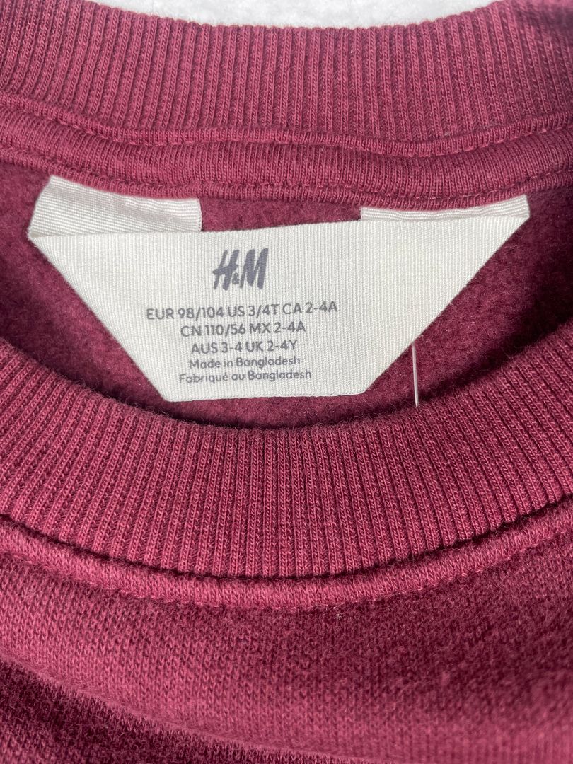 3-4, H&M, Purple, Pullover boys sweatshirt