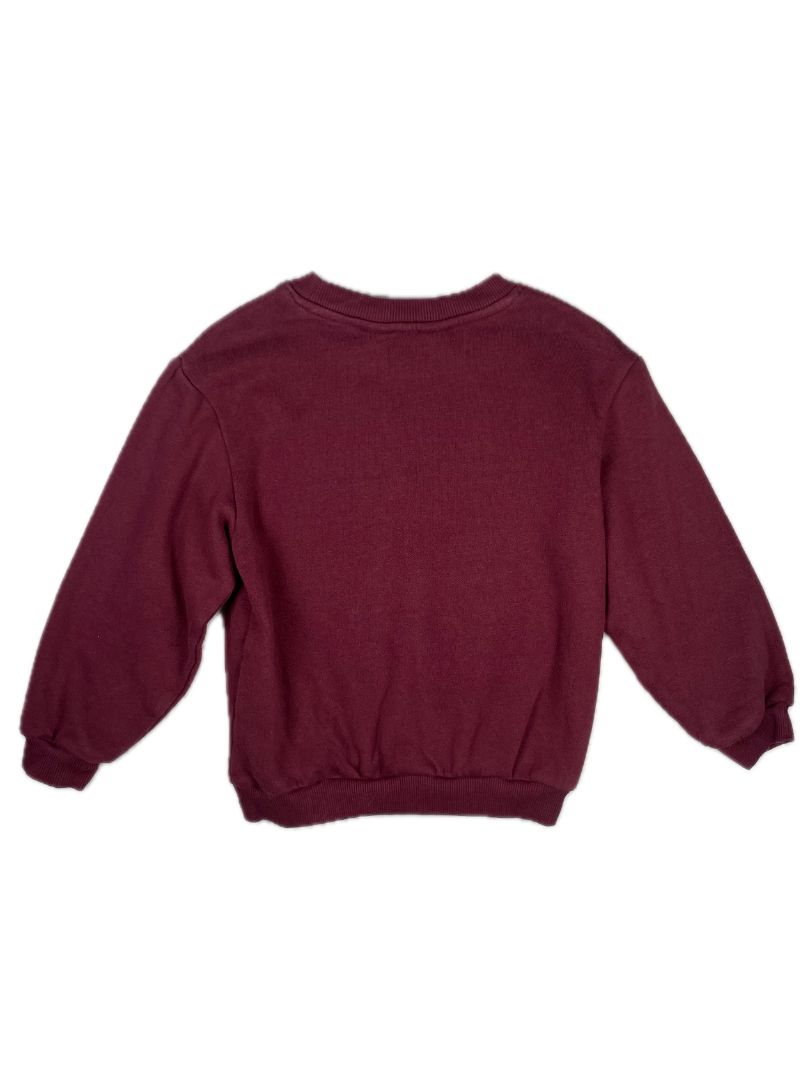 3-4, H&M, Purple, Pullover boys sweatshirt