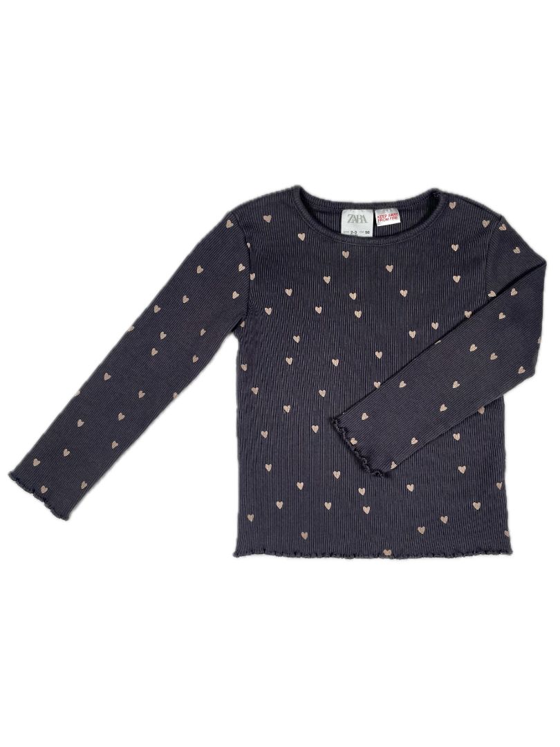 2-3 Zara, Grey, Long-sleeve shirt w/ pink heart print & ruffled edges