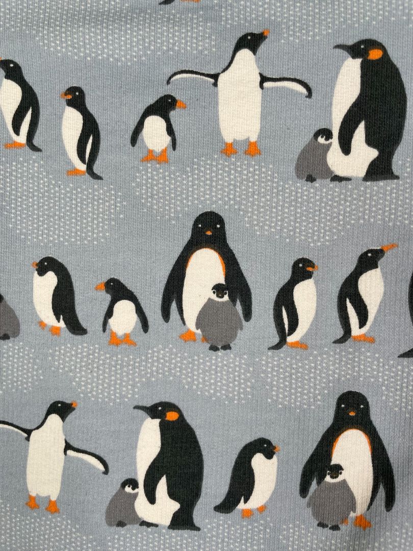 3/3T, Winter Water Factory, Blue, Penguin print French Terry sweatshirt, organic cotton