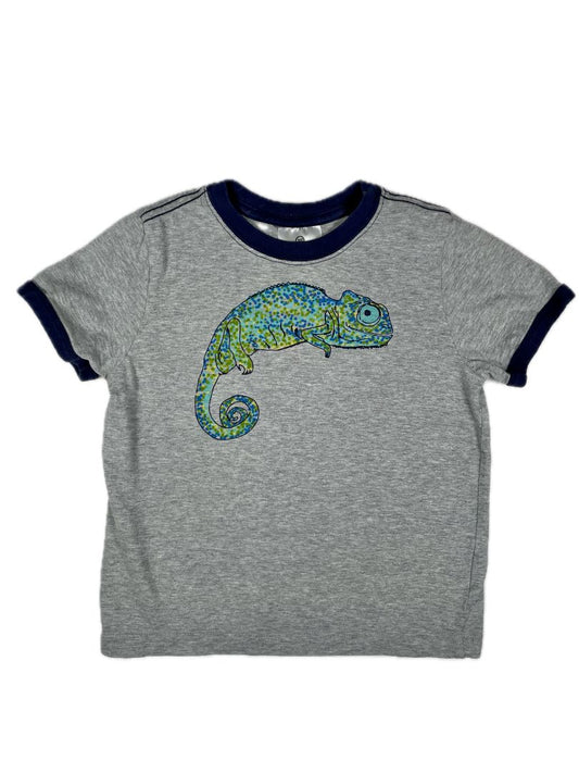 4/4T Hanna Andersson, Grey, Short-sleeve chameleon t-shirt w/ navy bands