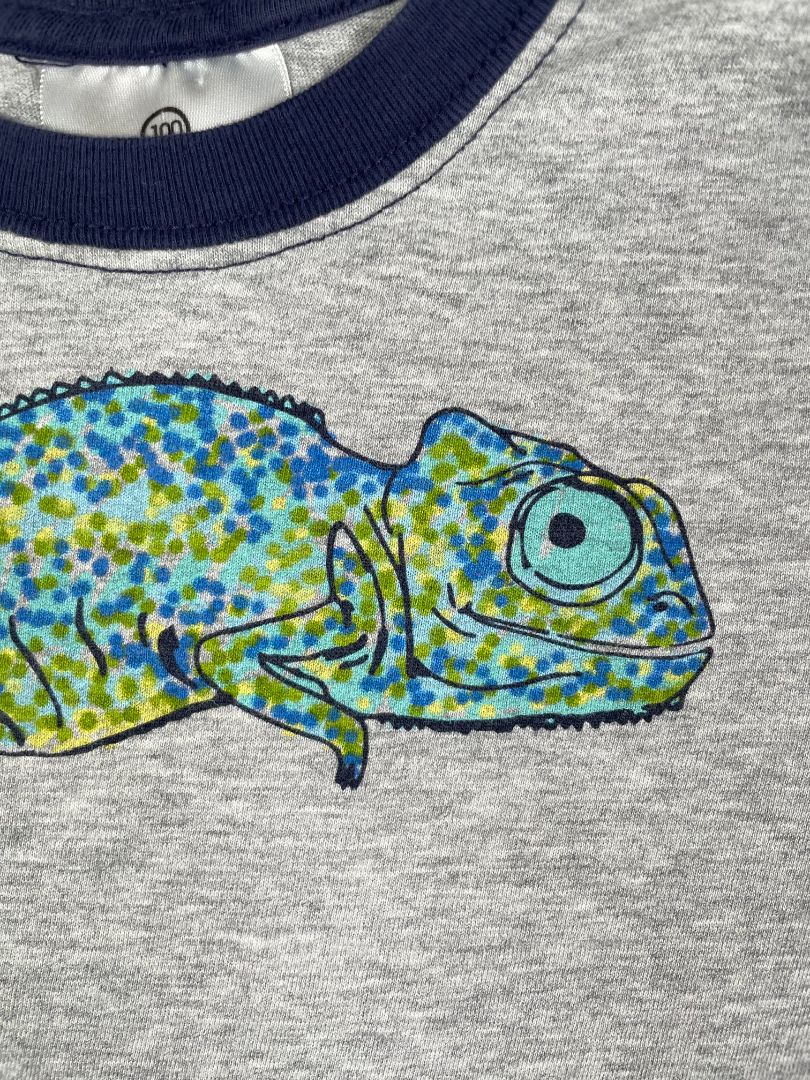 4/4T Hanna Andersson, Grey, Short-sleeve chameleon t-shirt w/ navy bands