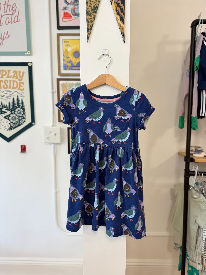 5-6, Boden, Blue, Pigeon t-shirt dress