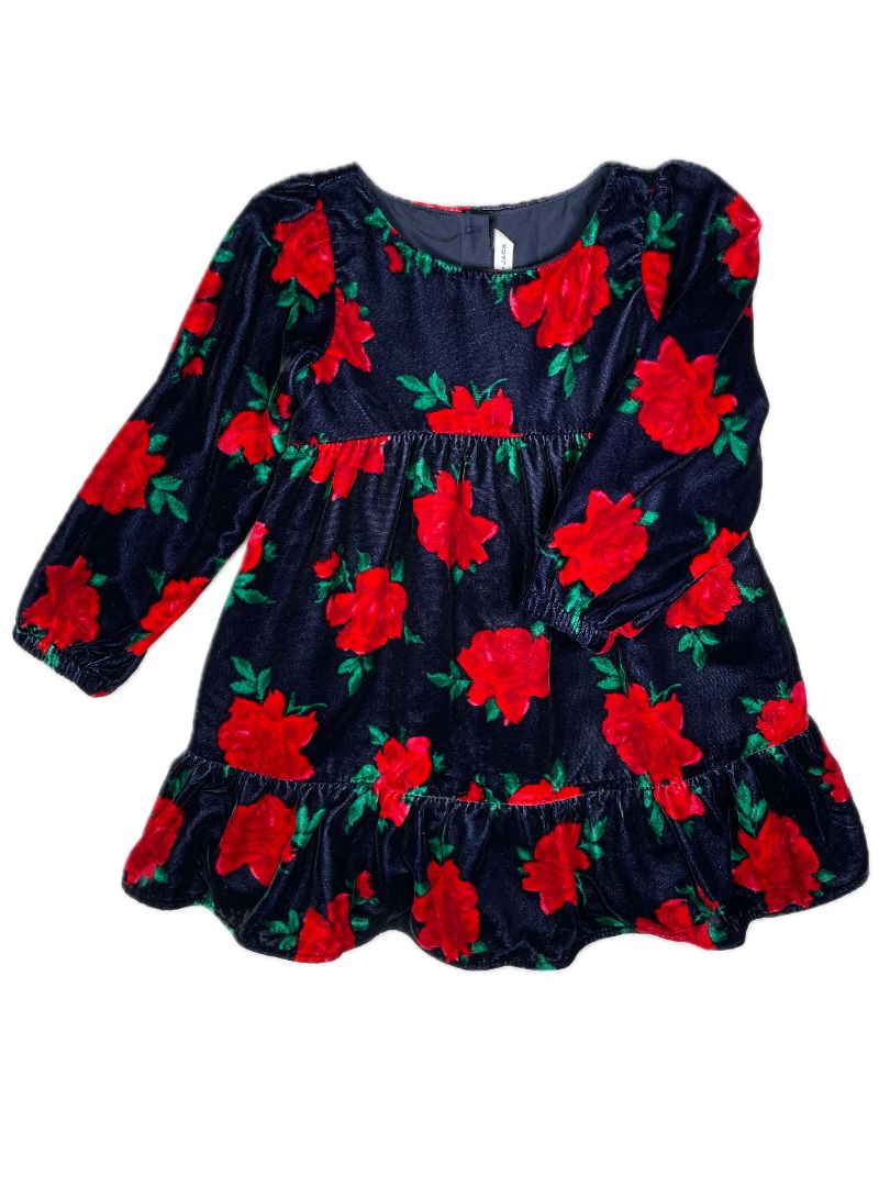 3/3T, Janie and Jack, Blue, Velvet rose print long-sleeve dress