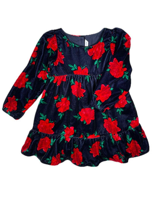 3/3T, Janie and Jack, Blue, Velvet rose print long-sleeve dress