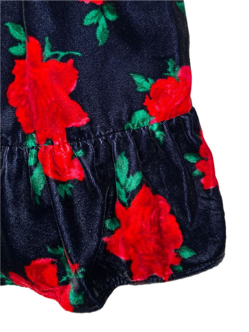 3/3T, Janie and Jack, Blue, Velvet rose print long-sleeve dress