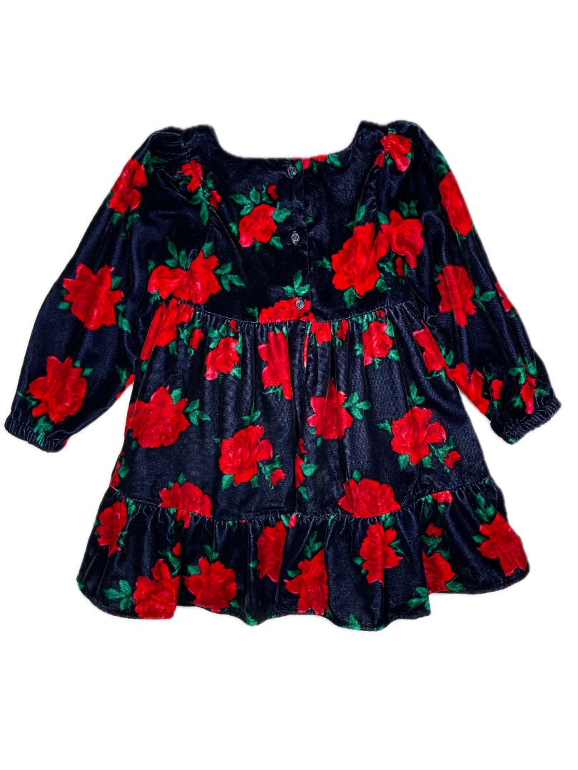 3/3T, Janie and Jack, Blue, Velvet rose print long-sleeve dress