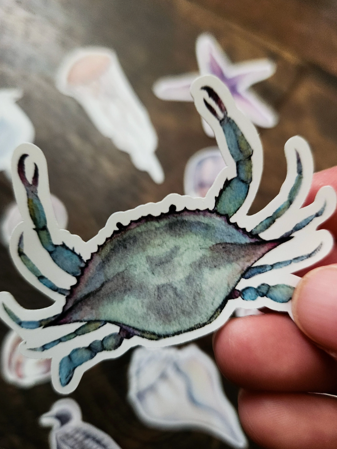 Stephanie Hathaway Designs, At the Beach Sticker Pack, Set of 12