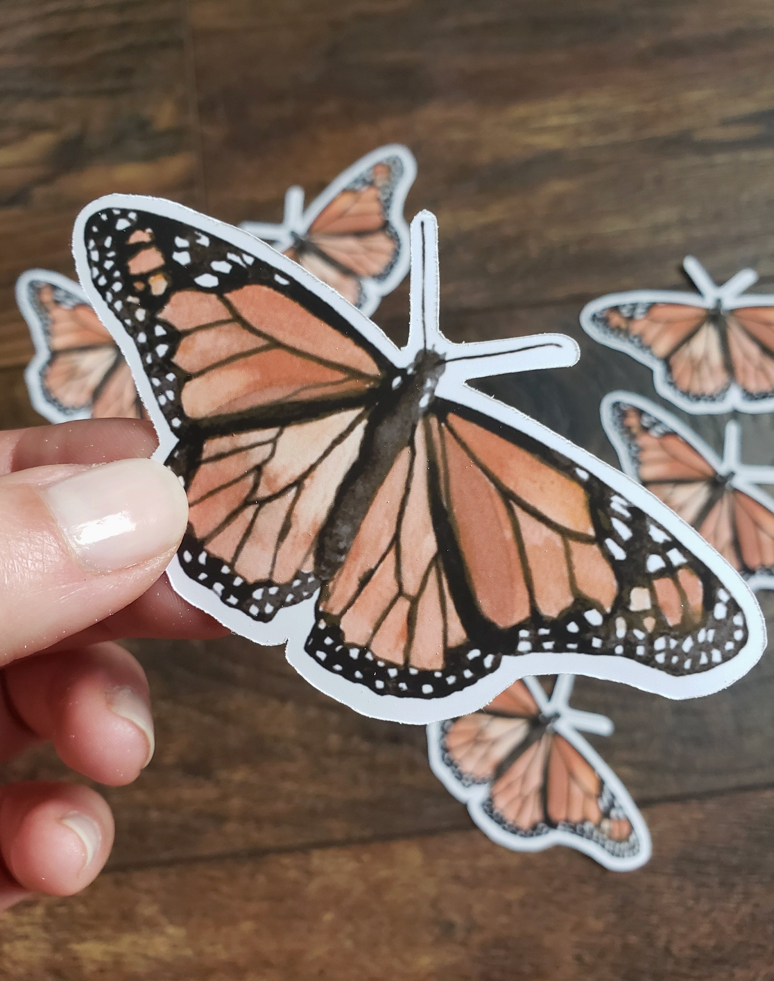 Stephanie Hathaway Designs, Monarch Butterfly Sticker