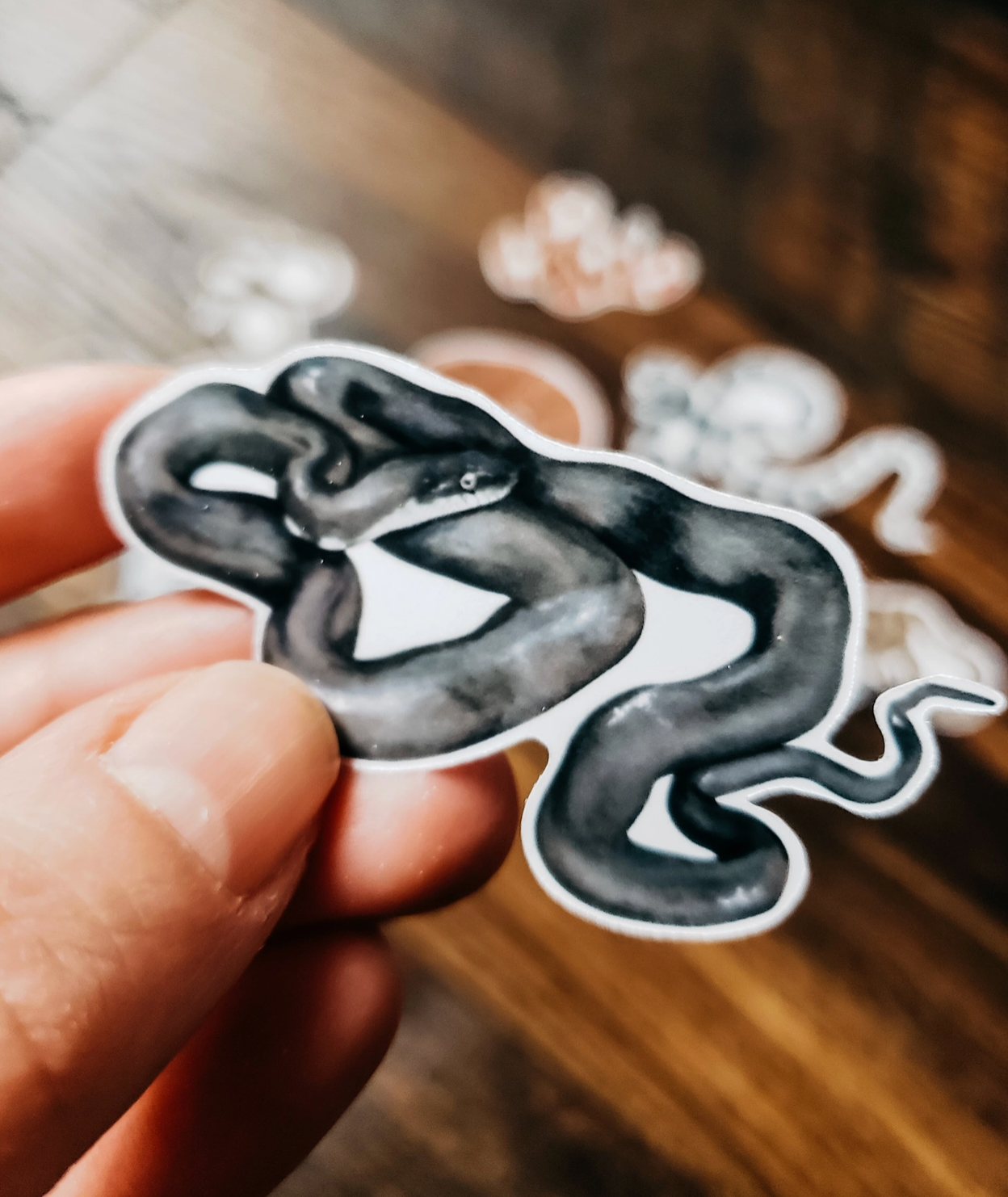 Stephanie Hathaway Designs, Snake Sticker Pack, Set of 8 Matte Vinyl Stickers