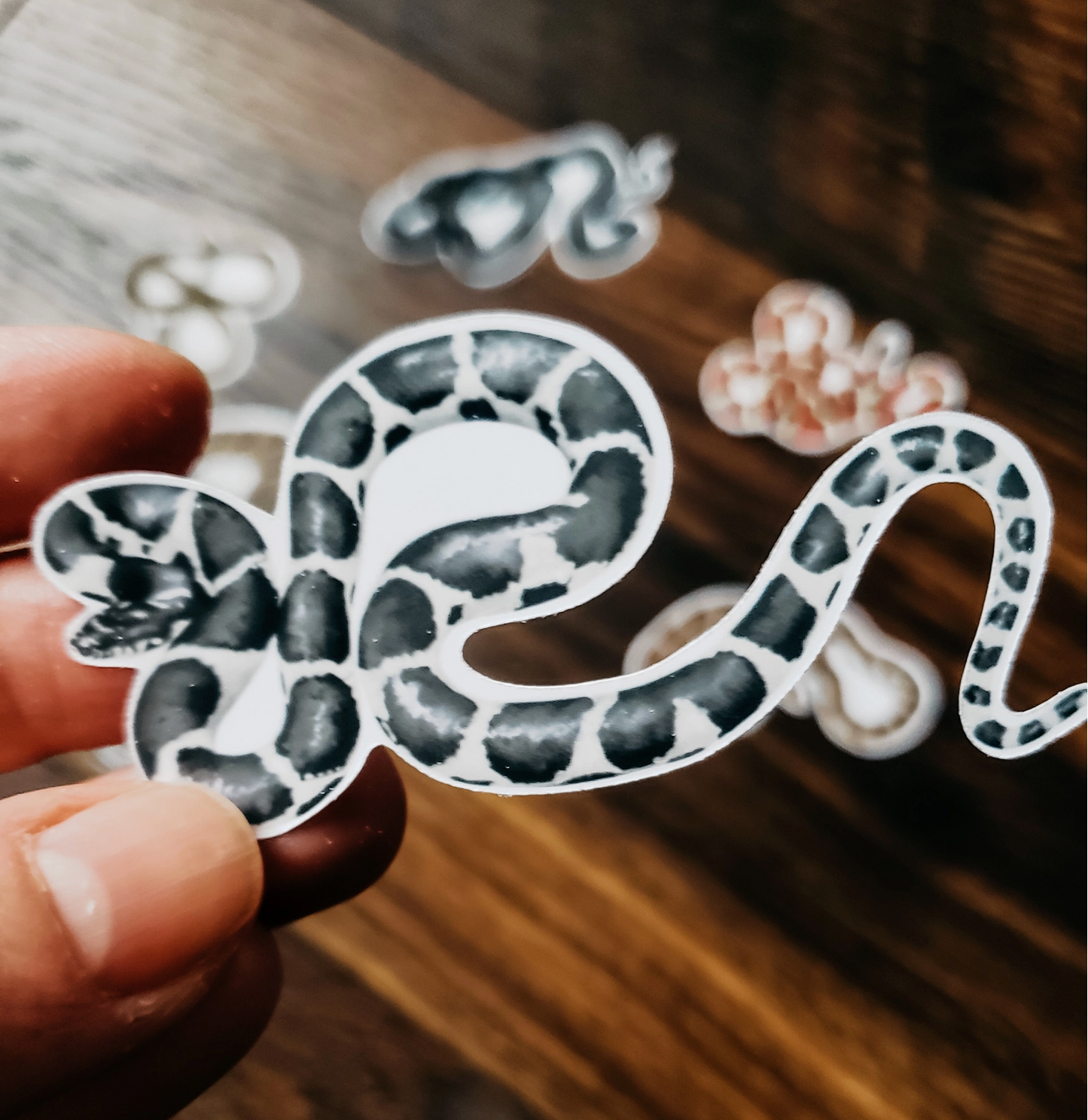 Stephanie Hathaway Designs, Snake Sticker Pack, Set of 8 Matte Vinyl Stickers