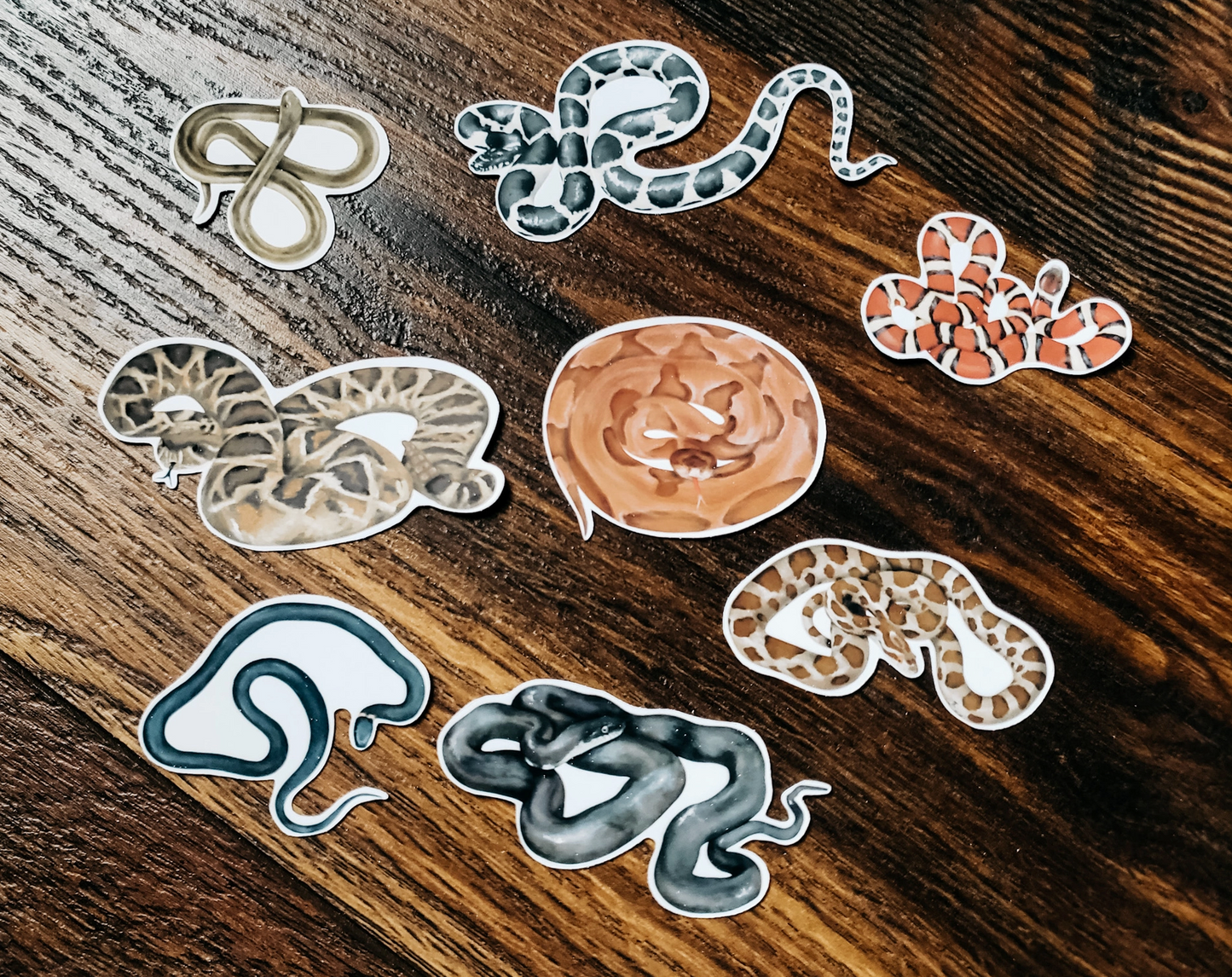 Stephanie Hathaway Designs, Snake Sticker Pack, Set of 8 Matte Vinyl Stickers