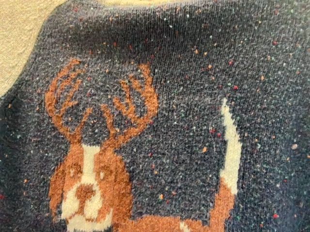 4/4T, Lands' End, Blue, Speckled beagle with antlers scarf sweater