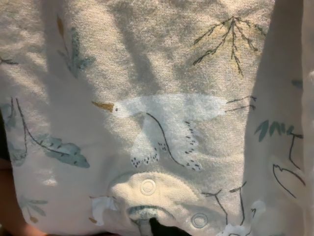 12 mo, Carter's, Cream, Birds & plants cotton overalls