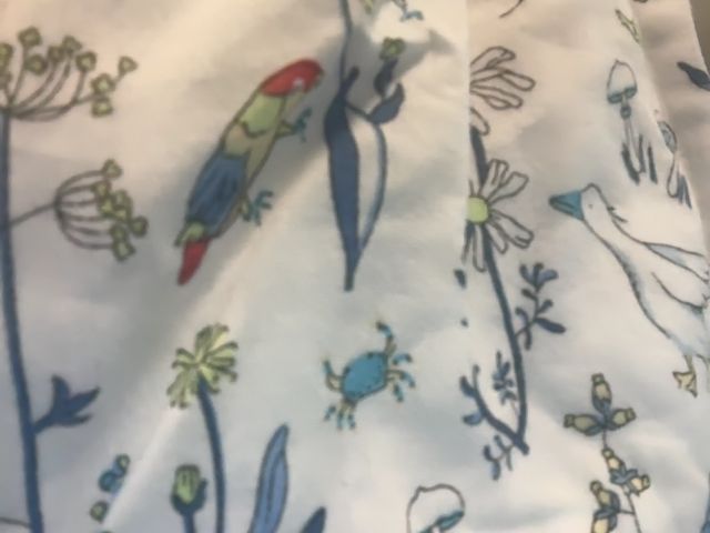 1 mo, Jacadi, White, Birds, plants, & critters shorts + blue tie hat SET