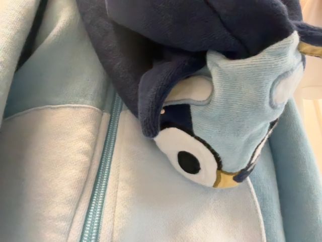 3/3T, Hanna Andersson, Blue, Zip-up Bluey hoodie with ears